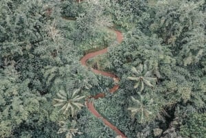 All-terrain vehicle a Bali: Gorilla Cave e pranzo al Cretya Sunset