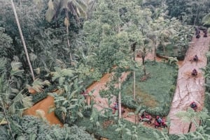 All-terrain vehicle a Bali: Gorilla Cave e pranzo al Cretya Sunset