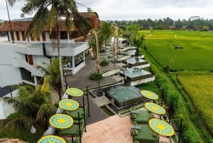 All-terrain vehicle a Bali: Gorilla Cave e pranzo al Cretya Sunset