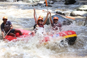 バリ島ウブドのジャングルで四輪バギーアドベンチャー：ワイルドパス、滝、ランチ、ガイド付き