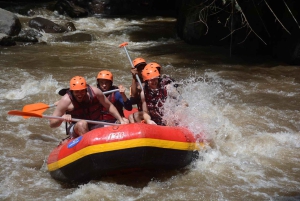 バリ島ウブドのジャングルで四輪バギーアドベンチャー：ワイルドパス、滝、ランチ、ガイド付き