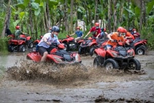 ATV Quad Bike Bali with Waterfall Gorilla Cave and Lunch