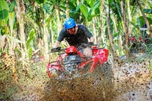 ATV Quad Bike Bali with Waterfall Gorilla Cave and Lunch