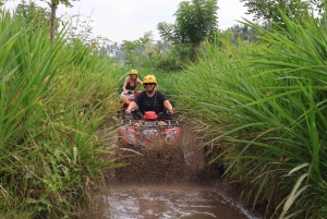 ATV - fyrhjuling med Ubuds apskog och vattenfall