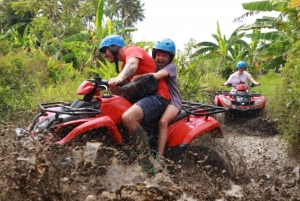ATV - Quad Bike Ubudin apinametsässä ja vesiputouksella