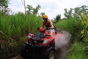 ATV - fyrhjuling med Ubuds apskog och vattenfall