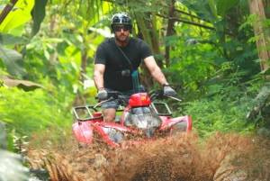 ATV - firhjuling med Ubuds apeskog og fossefall