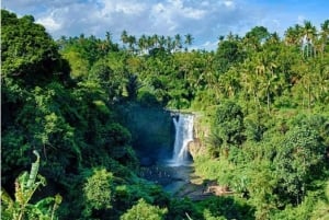ATV - Quadriciclo com a floresta de macacos e cachoeira de Ubud