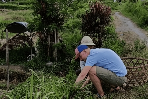 Authentic Balinese Local Life Experience in Pinge Village