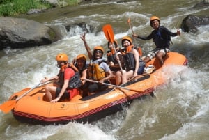 Bali: Avventura di rafting guidato sul fiume Ayung con pranzo