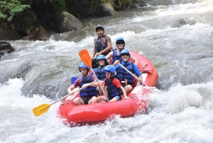 Bali: Ayung River White Water Rafting Adventure