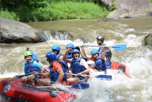 Bali: Ayung River White Water Rafting Adventure