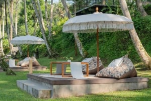 Pique-nique au bord de la rivière Ayung