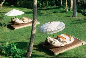 Pique-nique au bord de la rivière Ayung