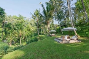 Ayung Riverside Picnic Lunch