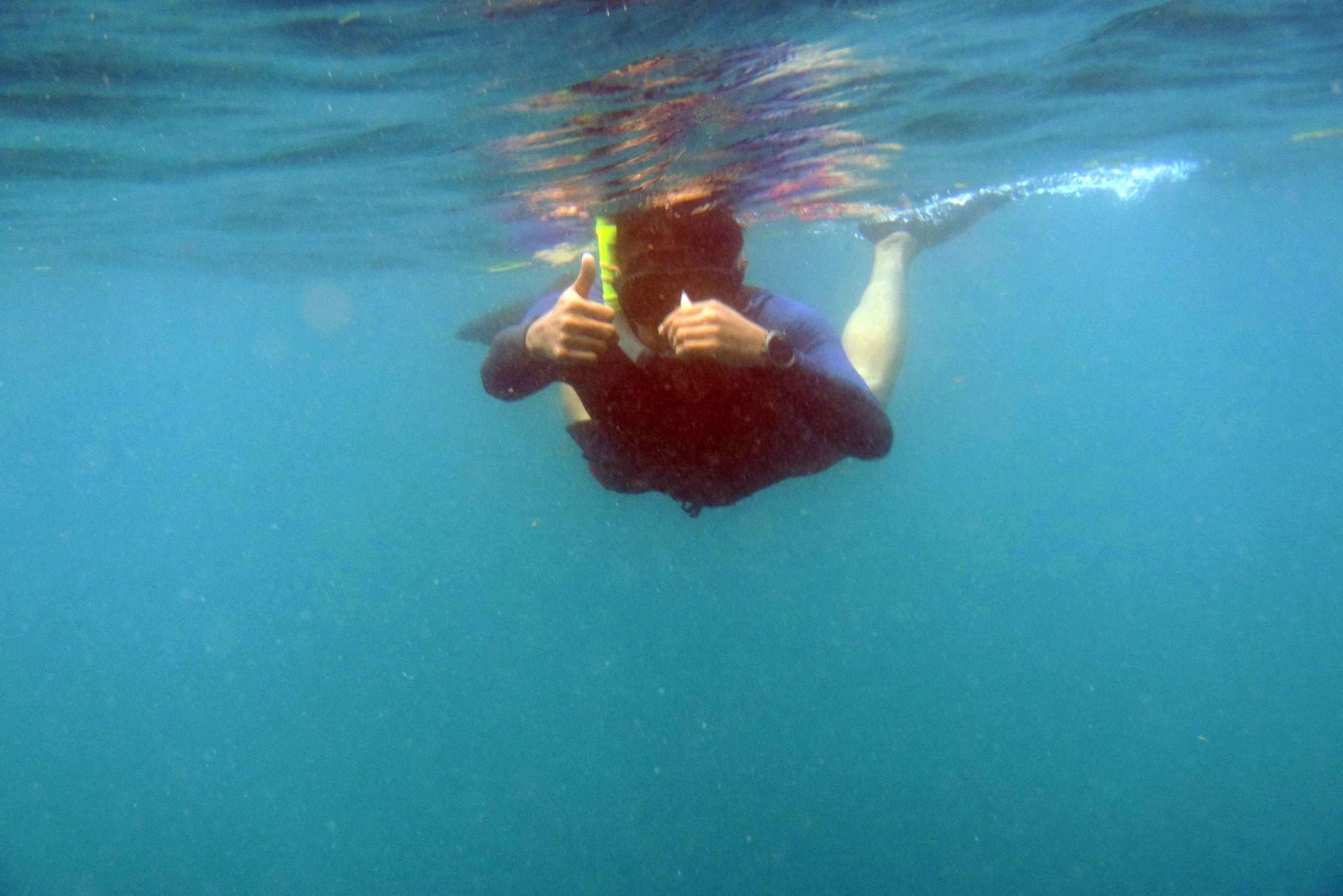 Bali: 1 Hour Snorkeling at Nusa Dua Beach