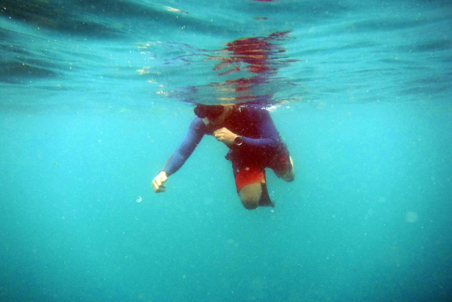 Bali: 1 Hour Snorkeling at Nusa Dua Beach