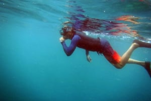 Bali: 1 times snorkling på Nusa Dua-stranden