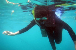 Bali: 1 Hour Snorkeling at Nusa Dua Beach