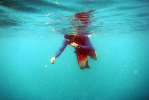 Bali: 1 Hour Snorkeling at Nusa Dua Beach