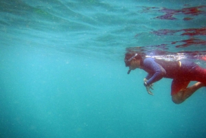 Bali: 1 Hour Snorkeling at Nusa Dua Beach