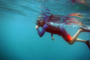 Bali: 1 Hour Snorkeling at Nusa Dua Beach