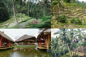 Bali: 10 Hours Trip Kuta/Denpasar/Nusa Dua/ Ubud/ Kintamani.