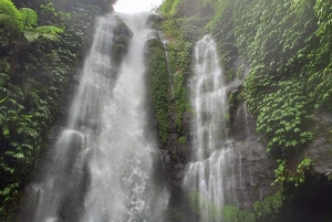 Bali: Tour privato dell'avventura delle cascate di 100 metri (tutto compreso)