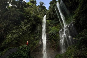 Bali: Tour privato dell'avventura delle cascate di 100 metri (tutto compreso)