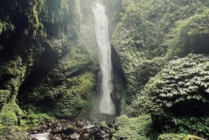 Bali: Tour privato dell'avventura delle cascate di 100 metri (tutto compreso)