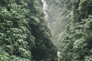 Bali: Tour privato dell'avventura delle cascate di 100 metri (tutto compreso)