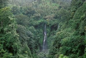 Bali: Tour privato dell'avventura delle cascate di 100 metri (tutto compreso)