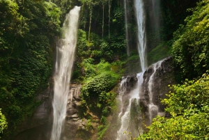 Bali: Tour privato dell'avventura delle cascate di 100 metri (tutto compreso)