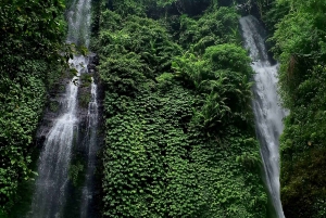 Bali: Tour privato dell'avventura delle cascate di 100 metri (tutto compreso)