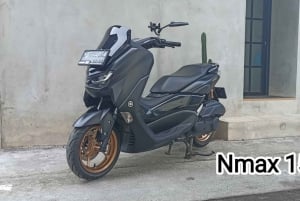 Bali: 2-7 dages scooterudlejning Xmax 250 cc/ Nmax 150cc/ Scoopy