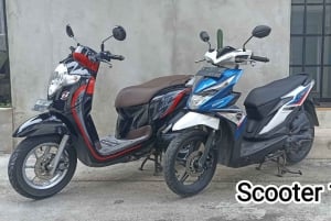 Bali: 2-7 päivän skootterivuokraus Xmax 250 cc/ Nmax 150cc/ Scoopy