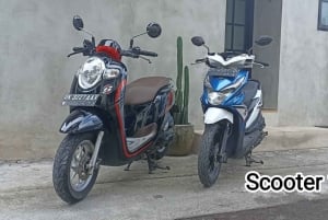Bali: 2-7 päivän skootterivuokraus Xmax 250 cc/ Nmax 150cc/ Scoopy