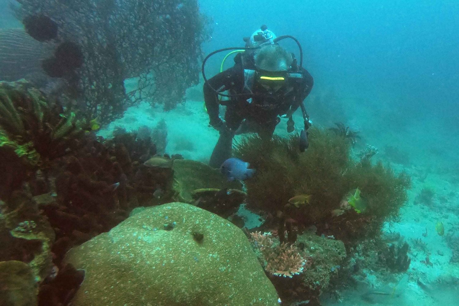 Bali: 2-Day PADI Advanced Open Water Course