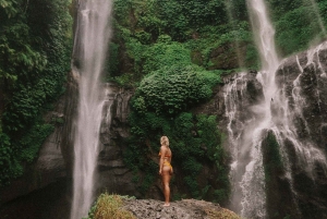 Bali: 2-Days North Bali Waterfalls and Temples Tour