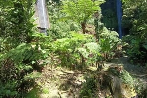 Bali: 2 Nights Camp, Mt Lesung, Waterfalls & Mayong Village