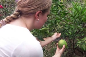 Bali: 2 Nights Camp, Mt Lesung, Waterfalls & Mayong Village