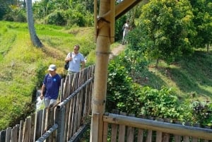 Bali: 2 Nights Camp, Mt Lesung, Waterfalls & Mayong Village