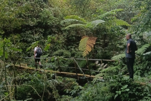 Bali: 2 Nights Camp, Mt Lesung, Waterfalls & Mayong Village