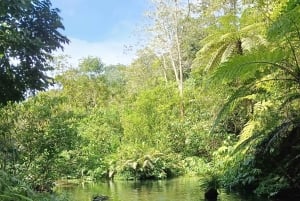 Bali: 2 Nights Camp, Mt Lesung, Waterfalls & Mayong Village