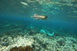 Bali: 2 Spot Snorkeling, The Monkey Bar & Best Waterfalls