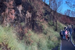 Bali: 2 dager og 1 natt Bromo soloppgangstur