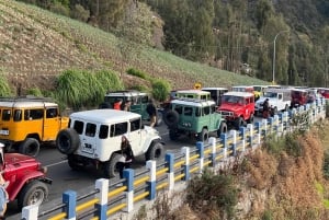 Bali: 2 dager og 1 natt Bromo soloppgangstur