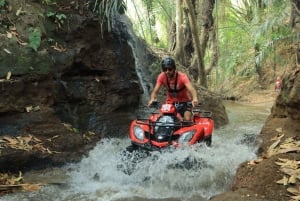 Bali: 3-dagars kultur- och äventyrstur med allt inkluderat