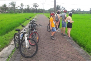 Bali: 3-dagars kultur- och äventyrstur med allt inkluderat
