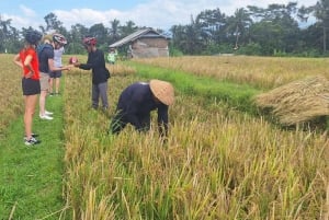 Bali: 3-dagars kultur- och äventyrstur med allt inkluderat